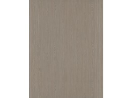 H267 V1A dainty oak latte 18 x 2070 x 2800 mm   D4 