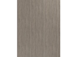 ABS H891 BST delano oak 1 x 23 mm  1 rol   75 m 