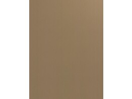 laminaat F994 M01 brushed gold 0.7 x 1300 x 3050 mm   folie  D1 