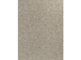 F255 BST ceppo seashore beige 18 x 2070 x 2800 mm   D2 